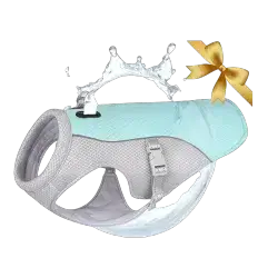 Harness L