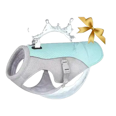 Harness L