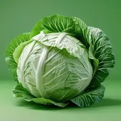 White Cabbage