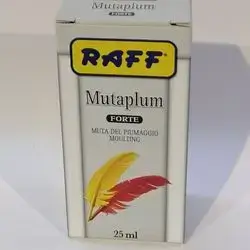 Raff