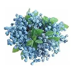 Blue Berries Pcs