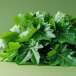 Local Grape Leaves