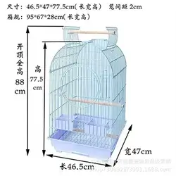 Bird Cage