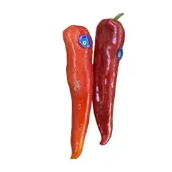 Colorful Pepper