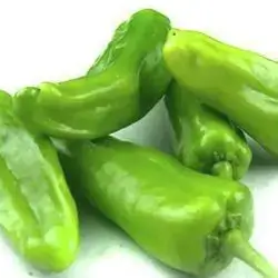 Long Bell Pepper