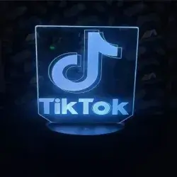 TikTok LED Lamp