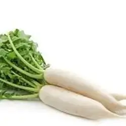 Long White Radish Kg