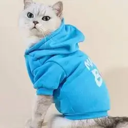 Hoodie M