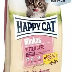 happy cat kitten care