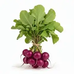 Purple Radish