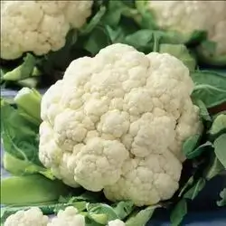 Cauliflower