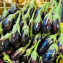 Iraqi Eggplant