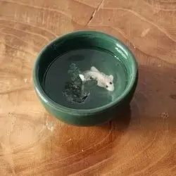 Gel Candle Cup