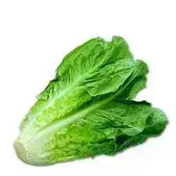 Lettuce 1Kg