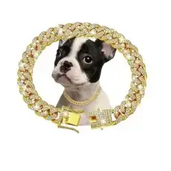 Luxury Chain Collar 20cm 