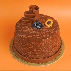 Medium Filled Cocoa Cake Mold 1 Filled With Cocoa