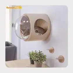 Cat Wall Climbing