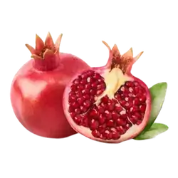 Pomegranate Africian