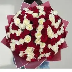 Mix Rose