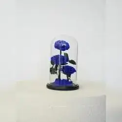 3 Everlasting Flowers - Dark Blue