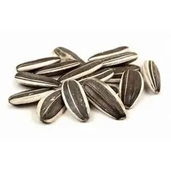 Sunflower Seeds Kg