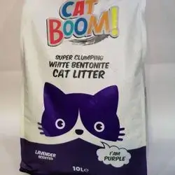 Clumping Cat Litter 10 L