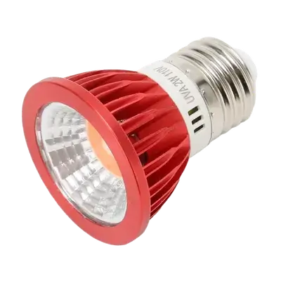 E893 Reptile lamp