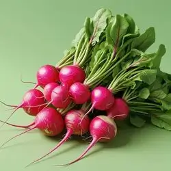 Radish