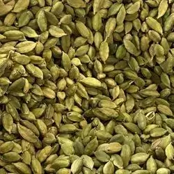 Cardamom