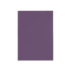 canson paper 70 x100cm - -viola