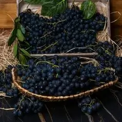 Black Grapes