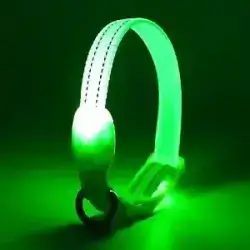 Pet LED Collar