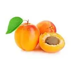 Apricot