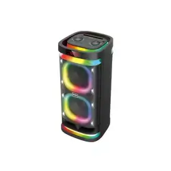 Brodu_BTS_1990_speaker,_Bluetooth_Karaoke_Speaker_With_2_Microphone