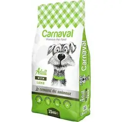 Carnaval Adult