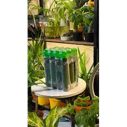 Plant Shine Spray