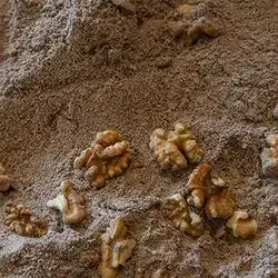 Coffee Walnuts