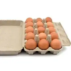 egg 15 red