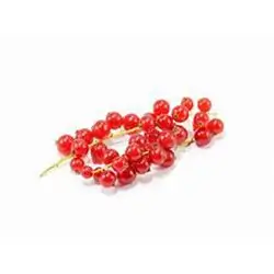 Berry Red Current Pcs