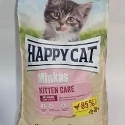 Happy Cat