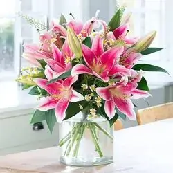 Pink Lily Flowers