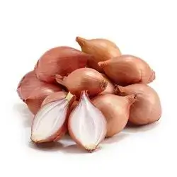 Onion Dolma