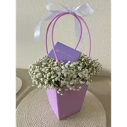 Basket Flower