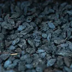 Raisins Kurdish