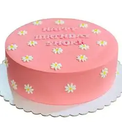 Large Cake