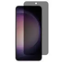Glass Privacy S24 PLUS
