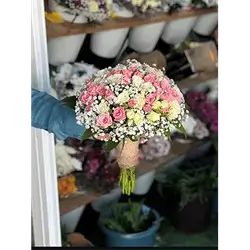 Baby Rose