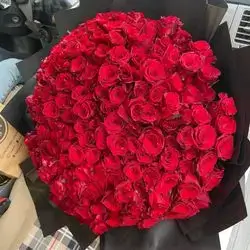 Red Roses Flower Bouquet