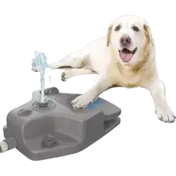 Zoofari Water Dispenser