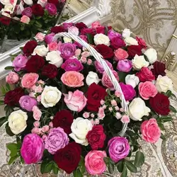 Basket Flower